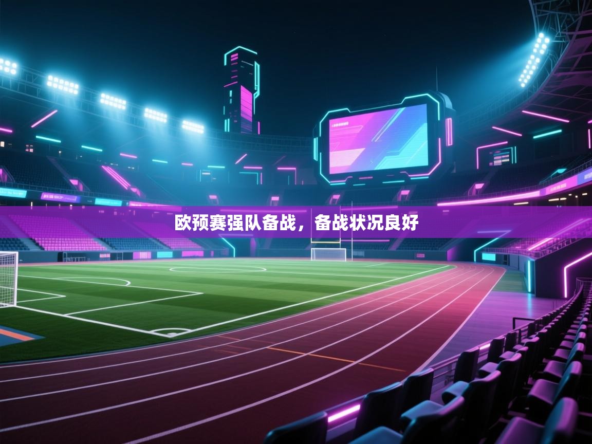 欧预赛强队备战,备战状况良好 第2张